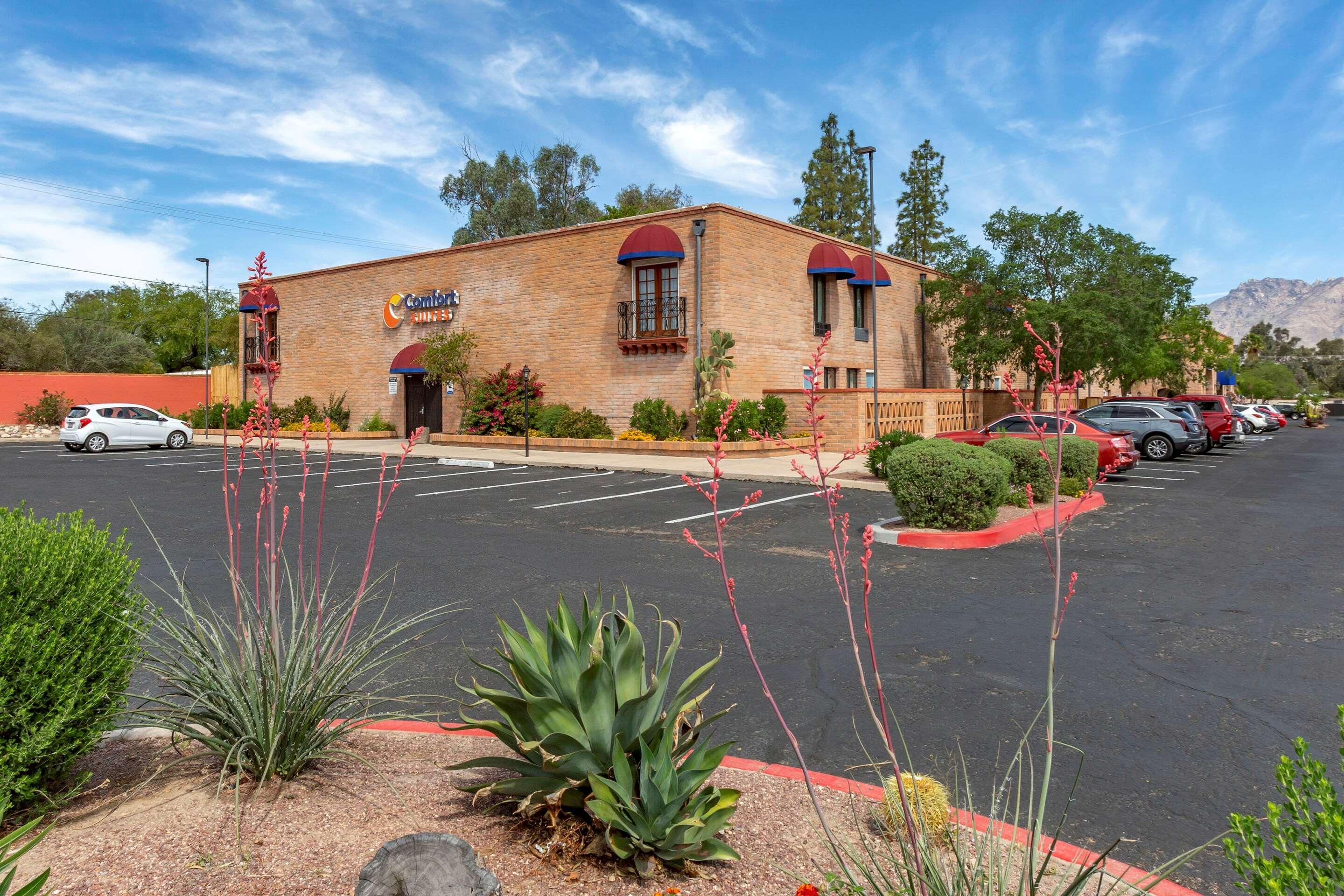 Comfort Suites At Sabino Canyon Tucson Exterior foto